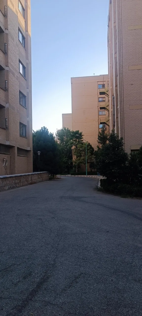 رفاه گستر تامین اجتماعی شیراز - تصویر 5