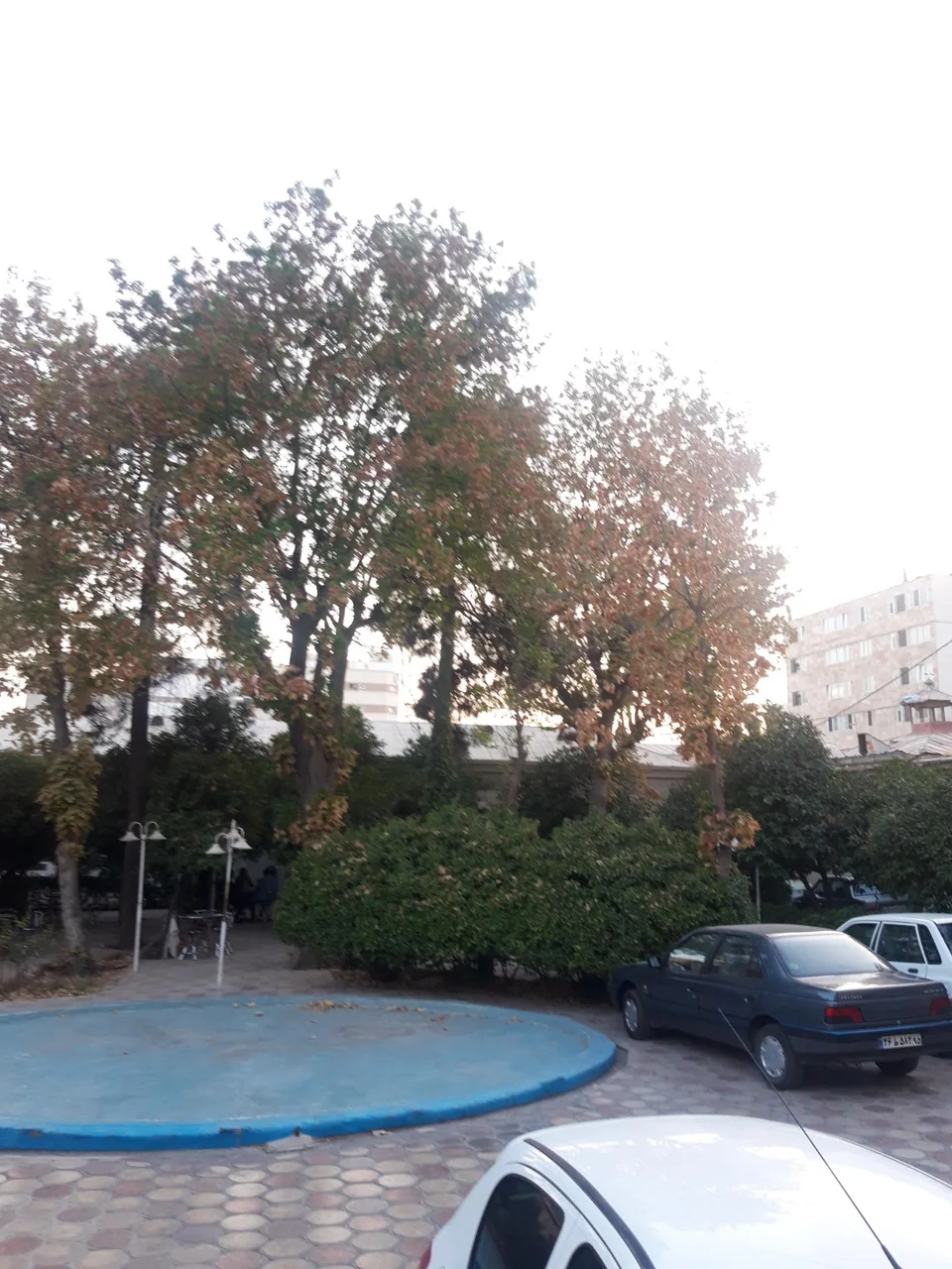 مسافرخانه فردوسی - تصویر 5
