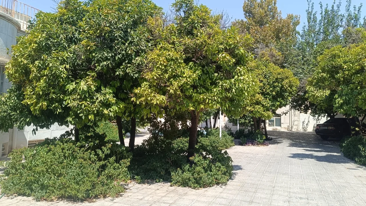 مهمانسرای صدا و سیمای مرکز فارس - تصویر 3