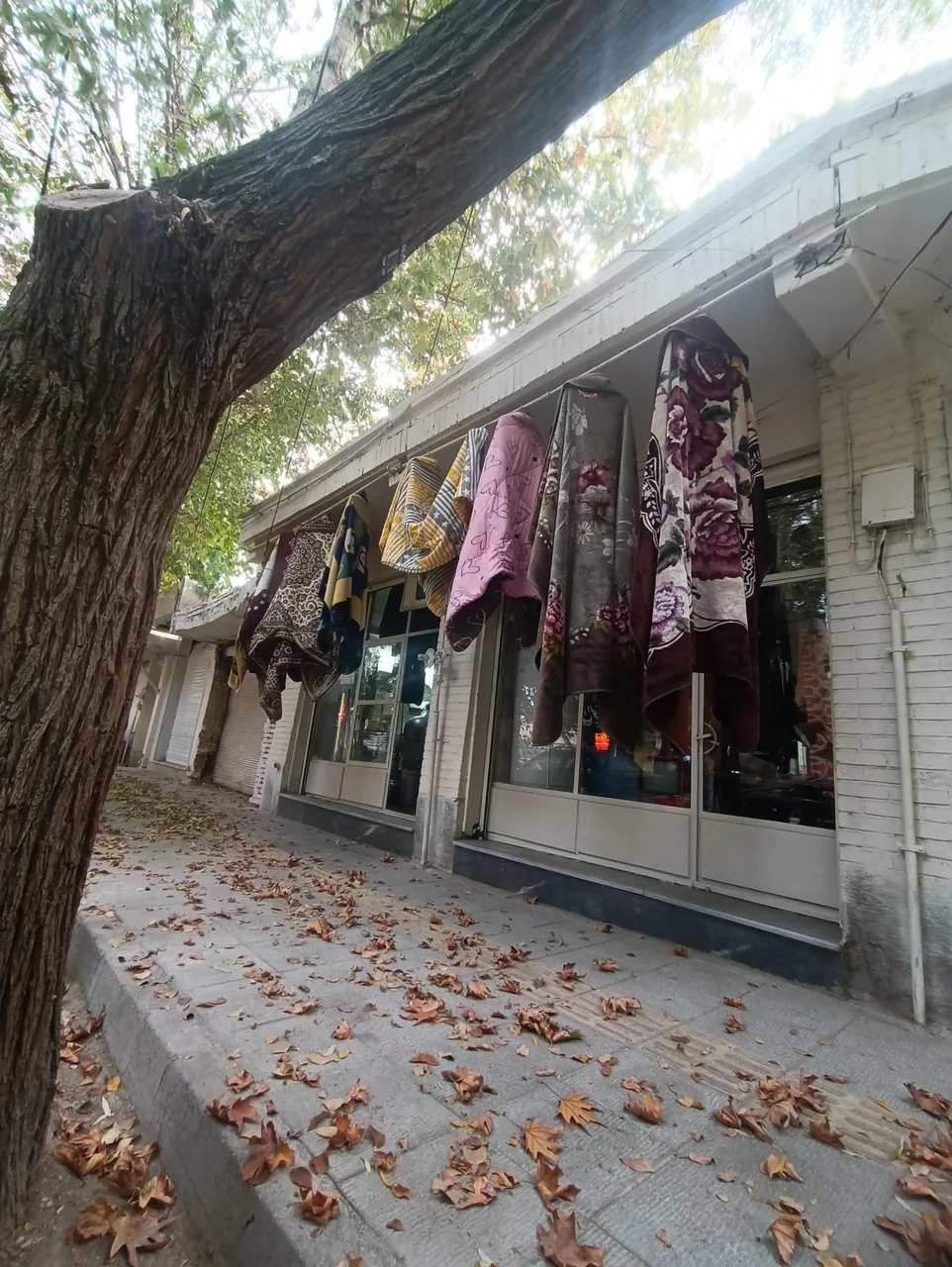 خشکشویی نصر - تصویر 4