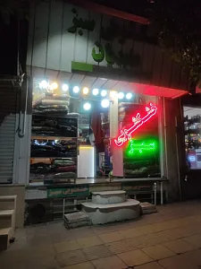 خشکشویی سبز