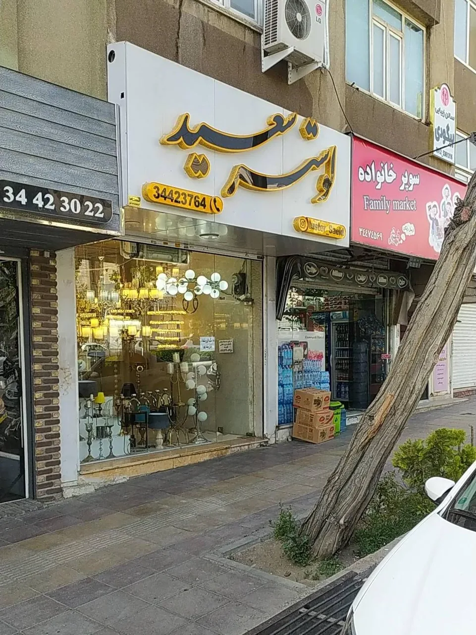 لوستر سعید - تصویر 2