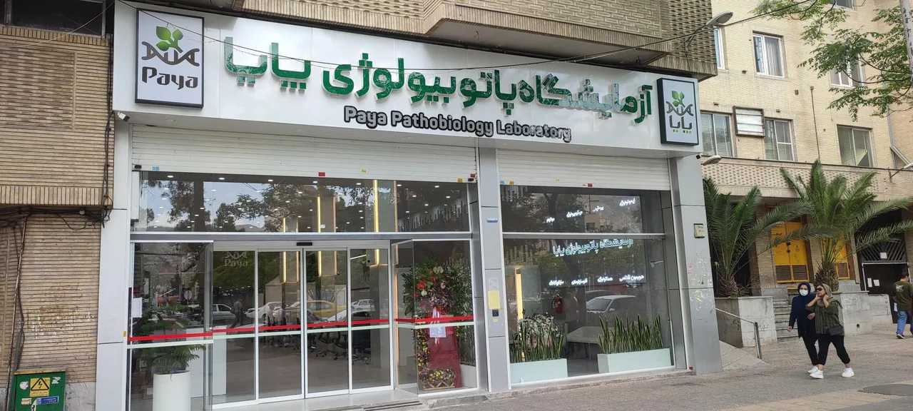 آزمایشگاه پاتوبیولوژی پایا - تصویر 4