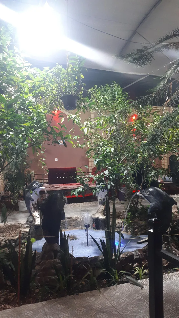 جگرکی ستاره - تصویر 2