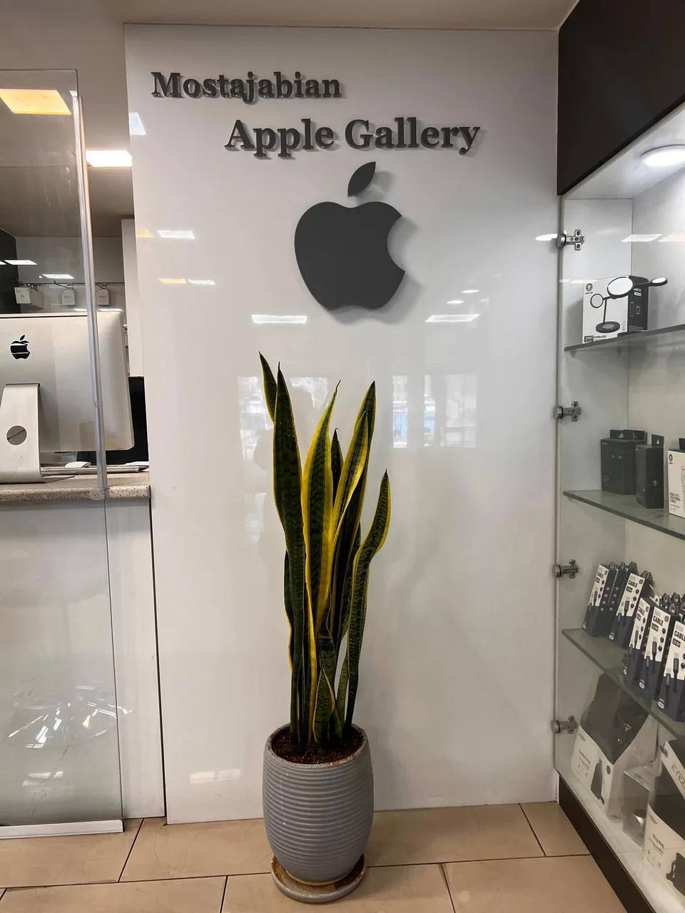 اپل مستجابیان