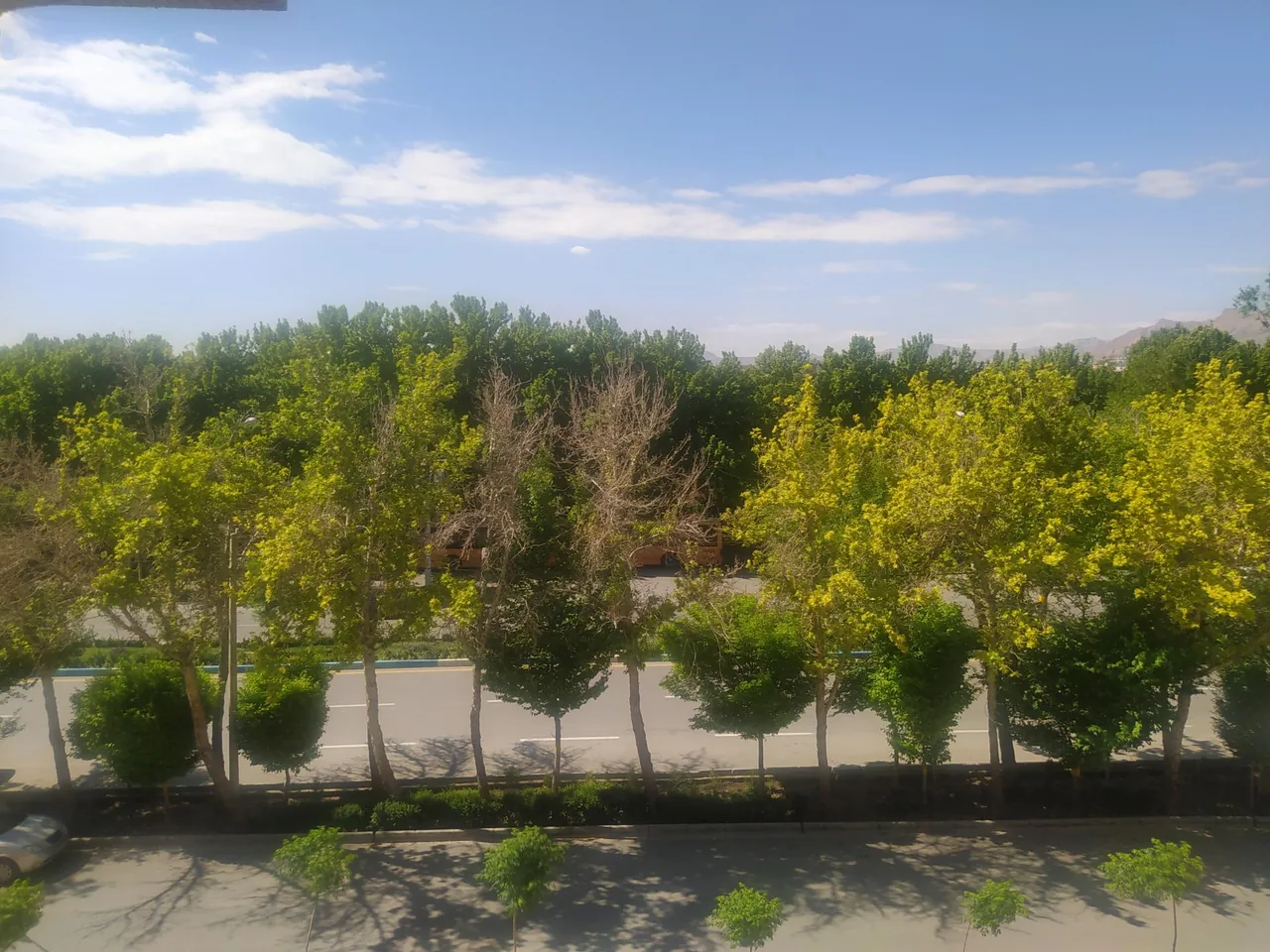 مهمانسرای تامین اجتماعی شرکت رفاه گستر - تصویر 3