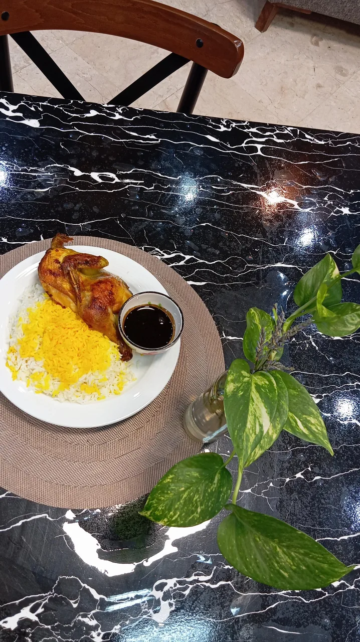 غذای خونگی تیان - تصویر 3
