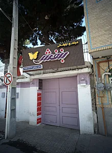 مجتمع تبلیغاتی بنفش