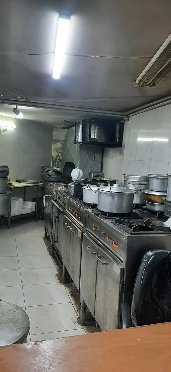 غذای بیرون بر زیتونی - تصویر 2