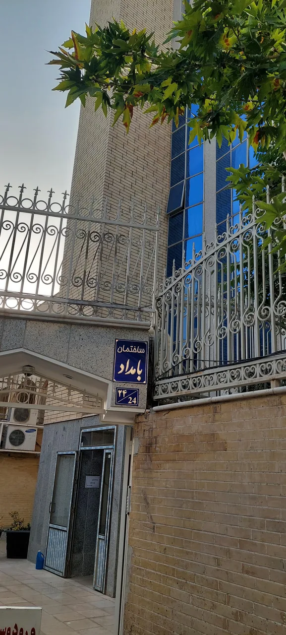 رادیولوژی بامداد