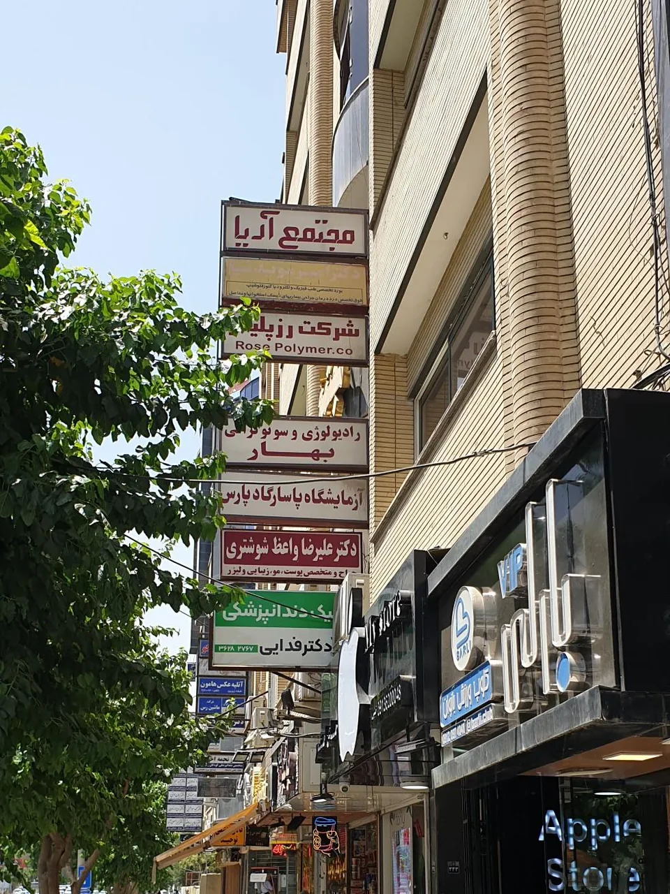 رادیولوژی بهار - تصویر 2