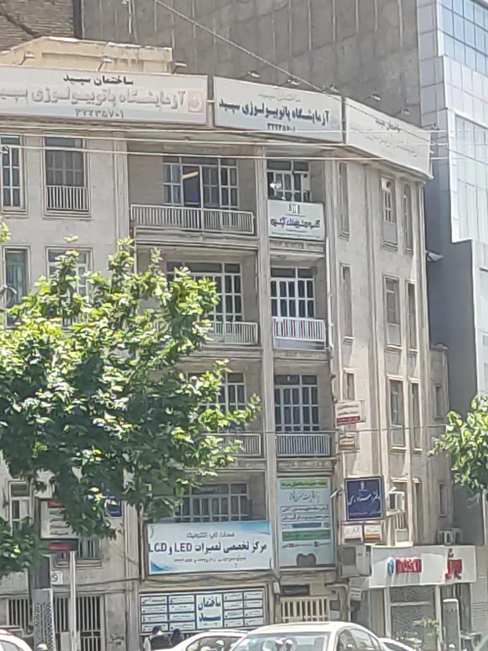 آزمایشگاه پاتوبیولوژی سپید - تصویر 4