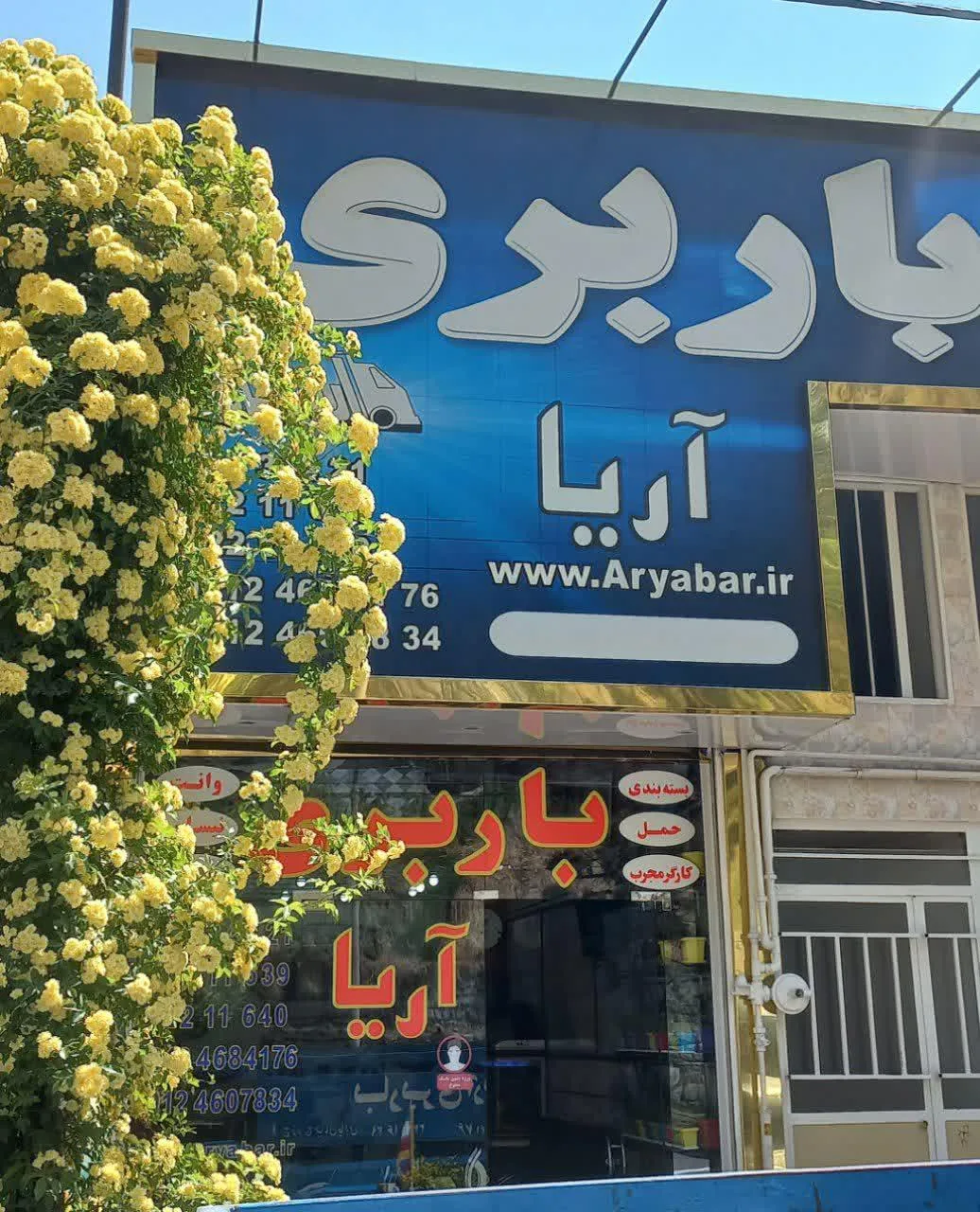 باربری آریا