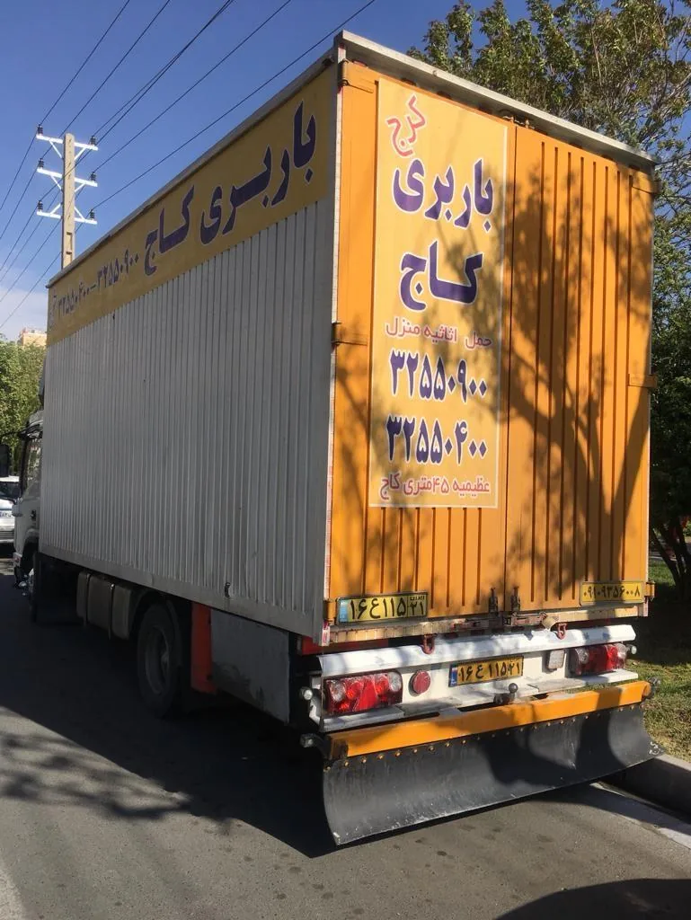 باربری کاج - تصویر 2