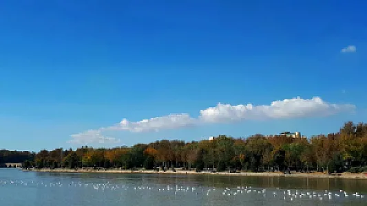 زاینده رود