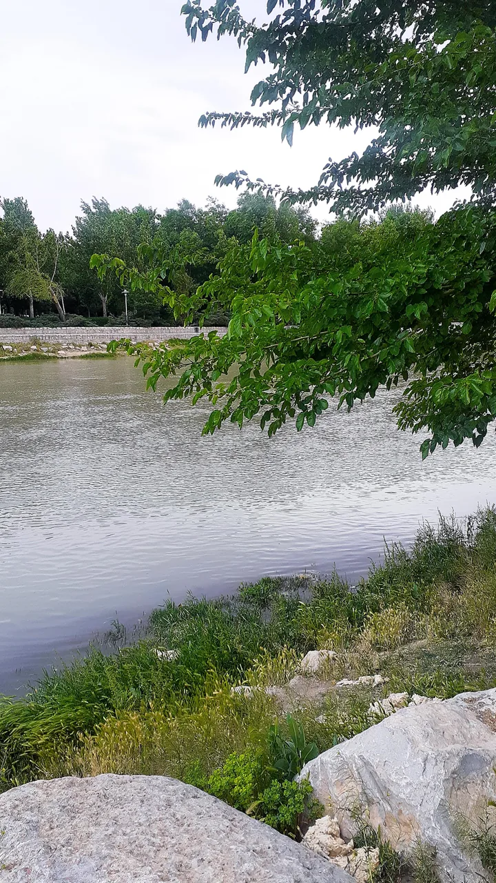 زاینده رود - تصویر 5