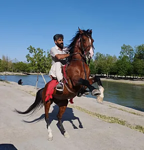 رودخانه زاینده‌ رود