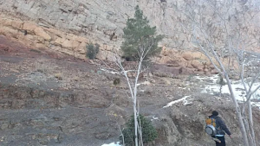 هفت چشمه