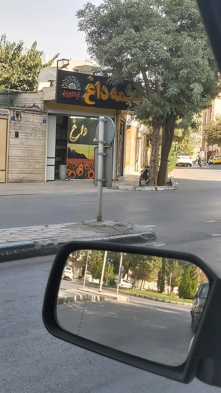 تخمه داغ آفتاب - تصویر 2