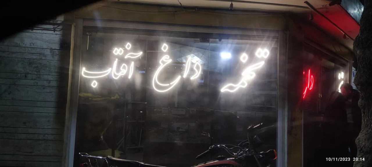 تخمه داغ آفتاب - تصویر 3