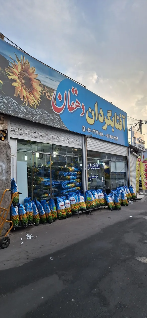 فروشگاه تخمه دهقان - تصویر 2
