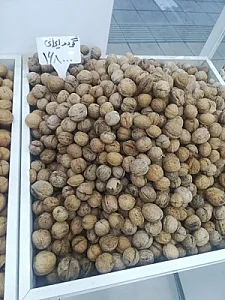 گردو بذغنی