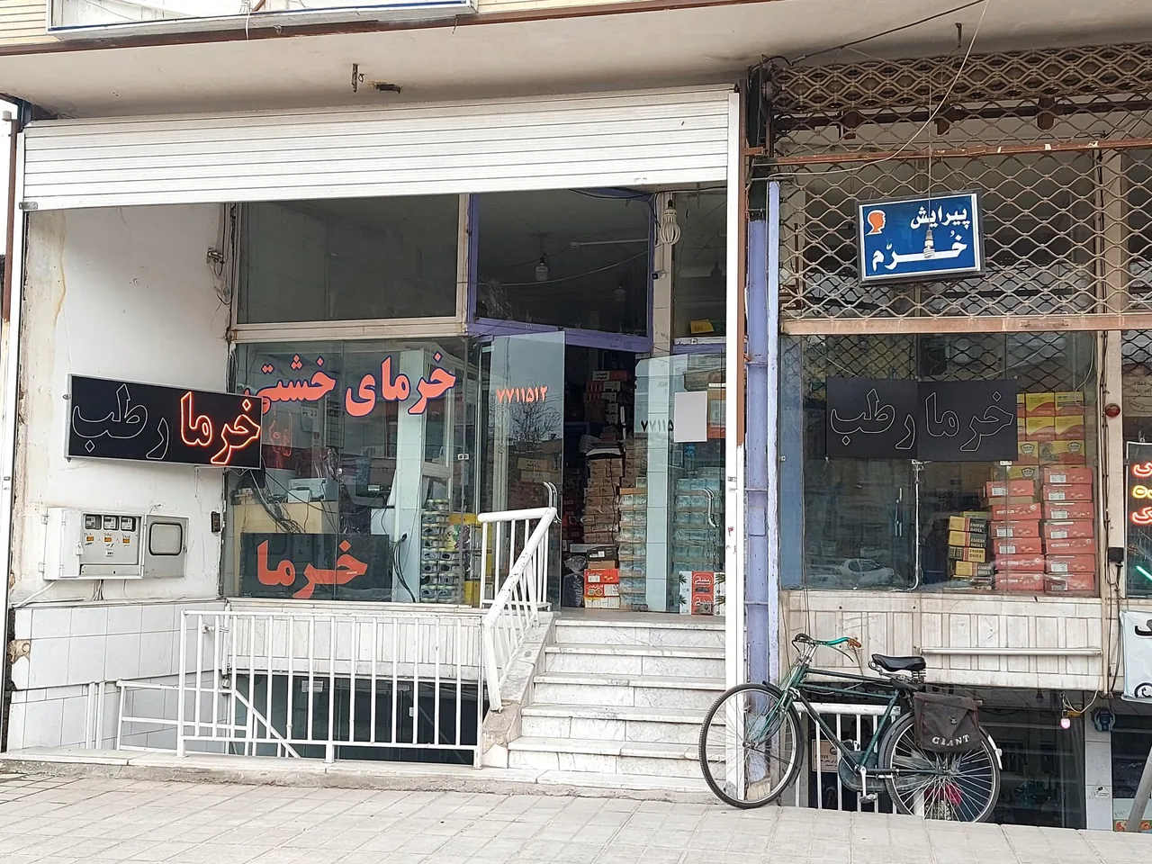 خرمای شاه داوود - تصویر 2