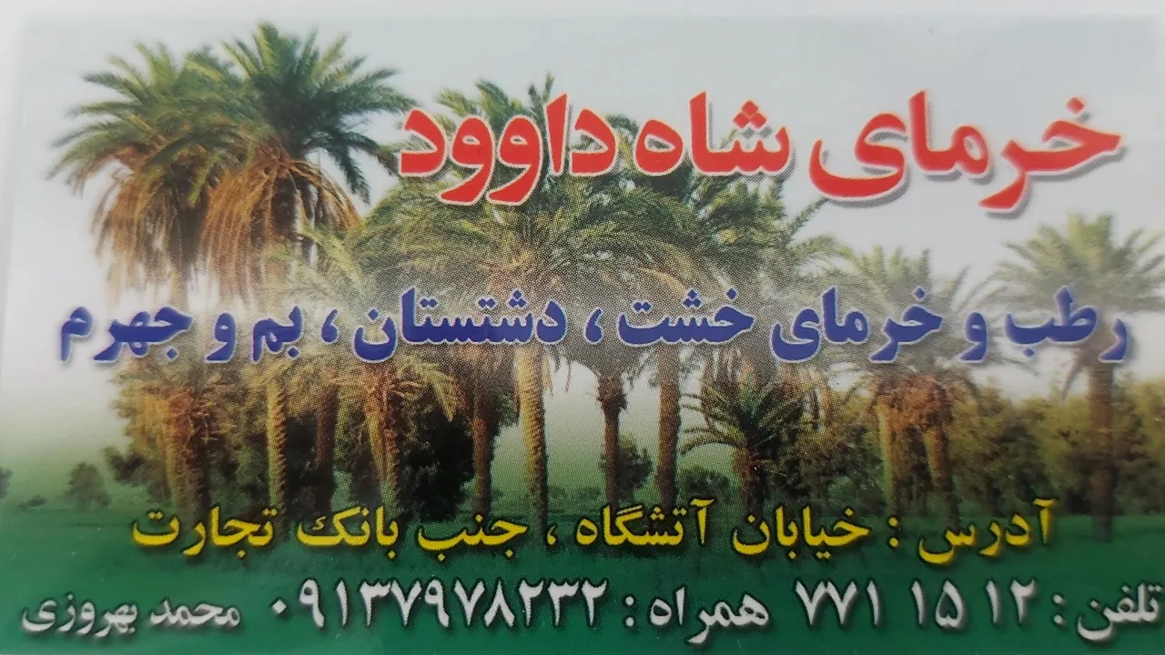 خرمای شاه داوود - تصویر 4