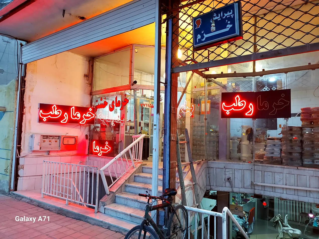 خرمای شاه داوود - تصویر 5