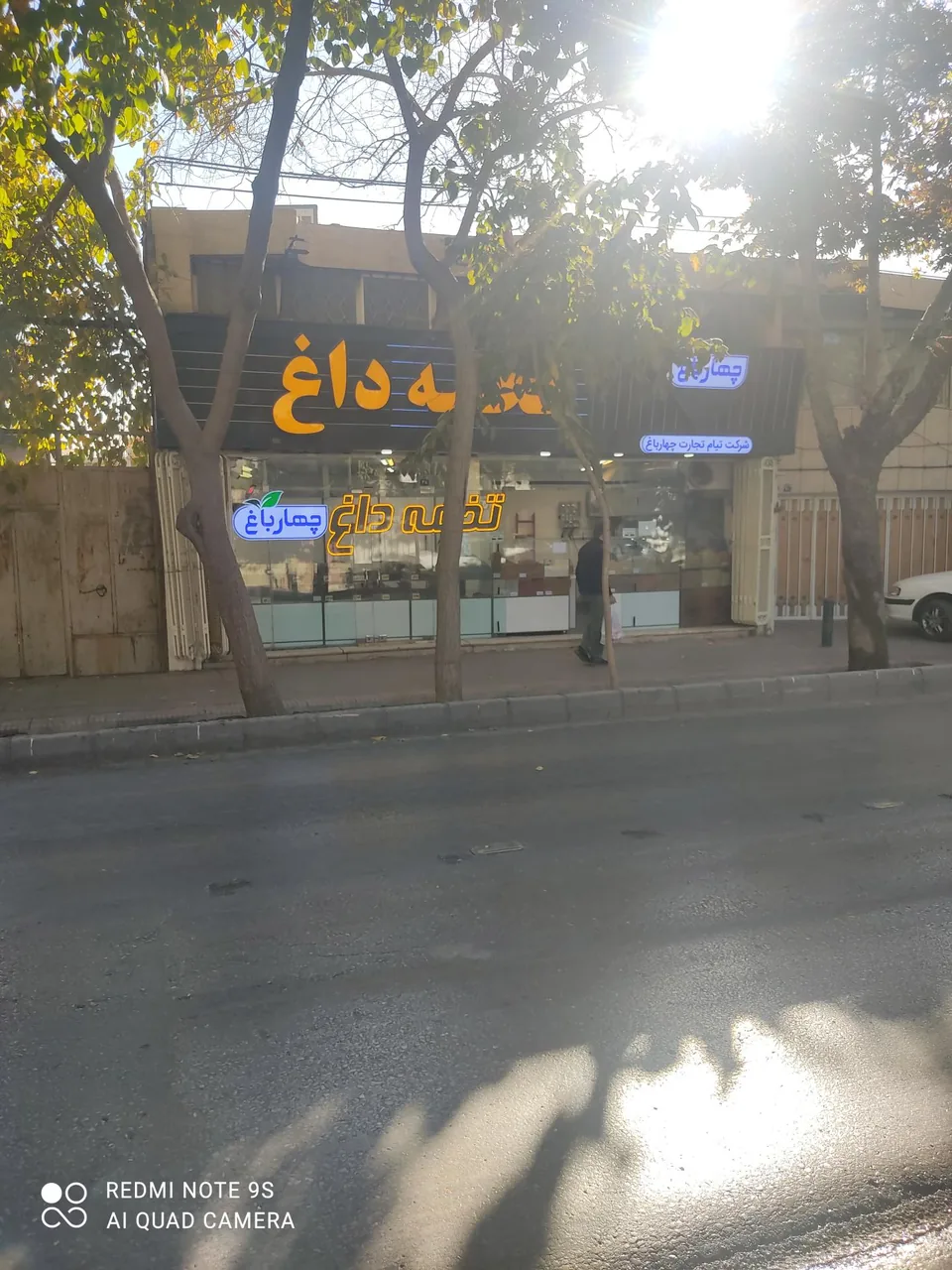 تخمه داغ چهارباغ - تصویر 3
