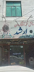 پخش تخمه آفتابگردان ارشد