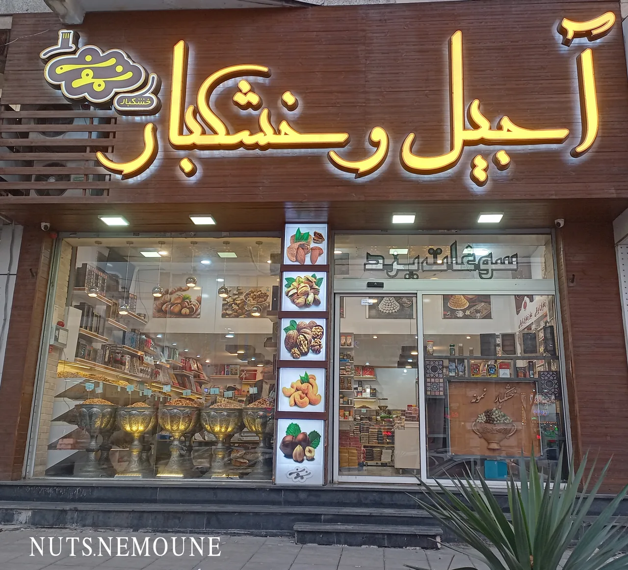 آجیل و خشکبار نمونه