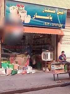 آجیل و خشکبار یاشار
