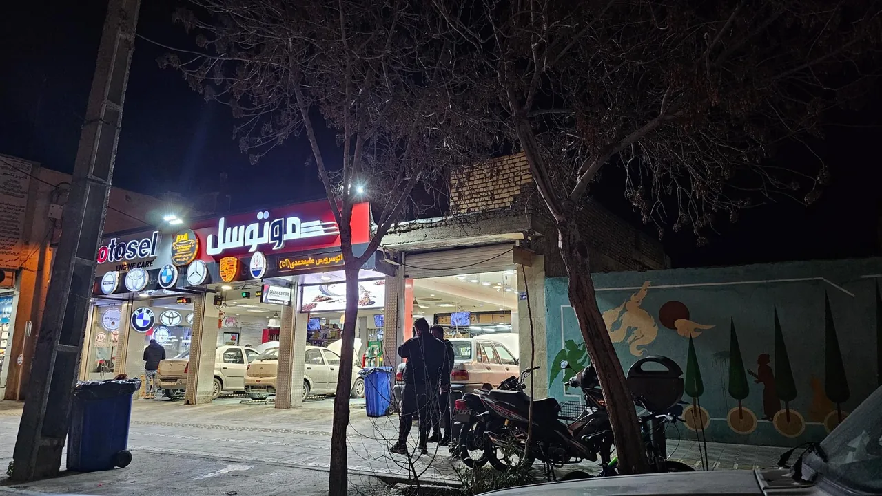 اتوسرویس علیمحمدی - تصویر 3