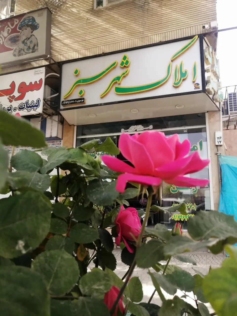 املاک شهر سبز - تصویر 3