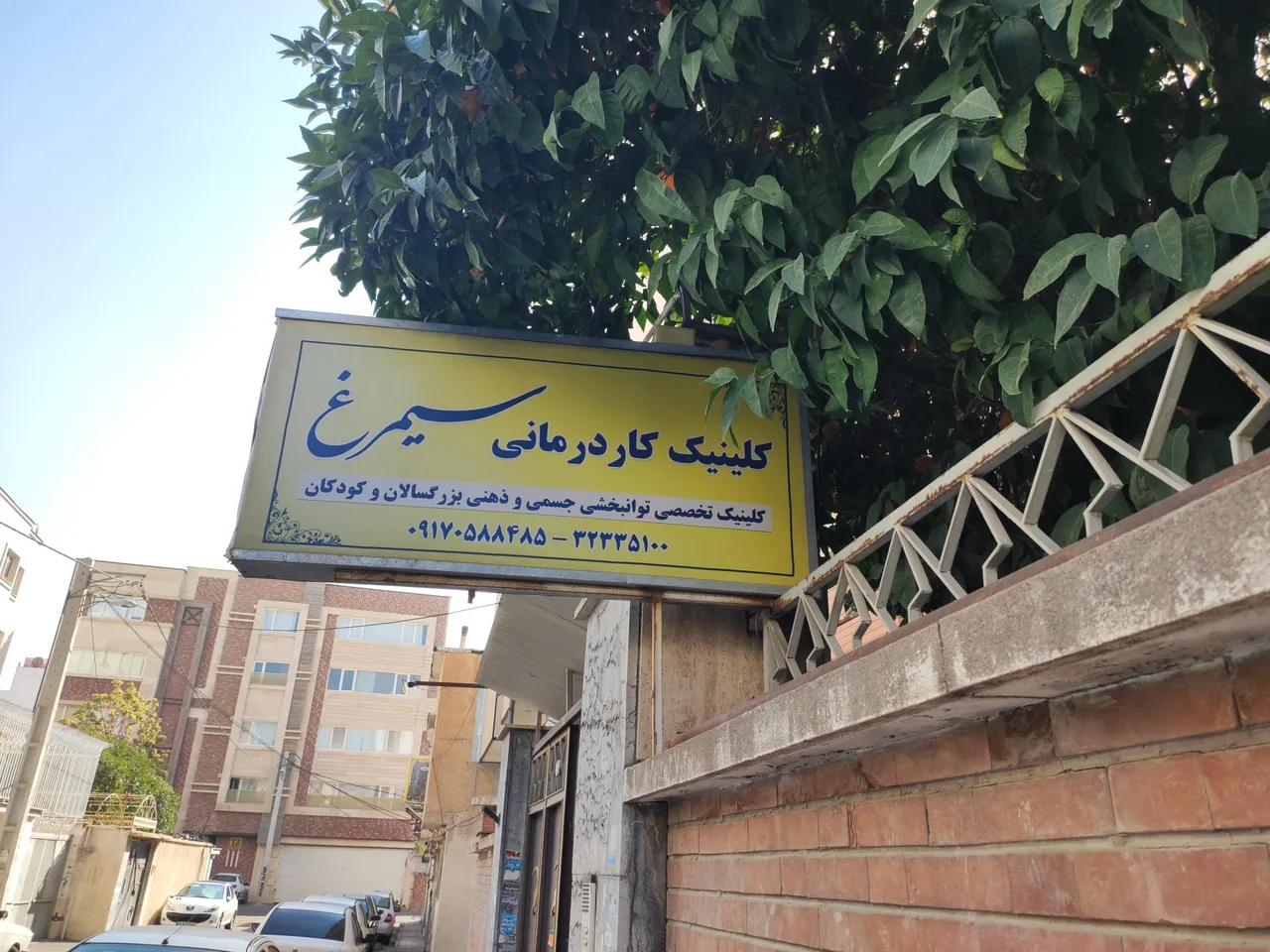 کلینیک کار درمانی سیمرغ