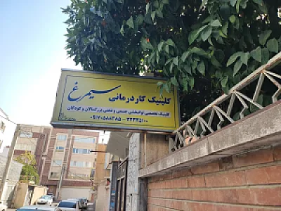 کلینیک کار درمانی سیمرغ