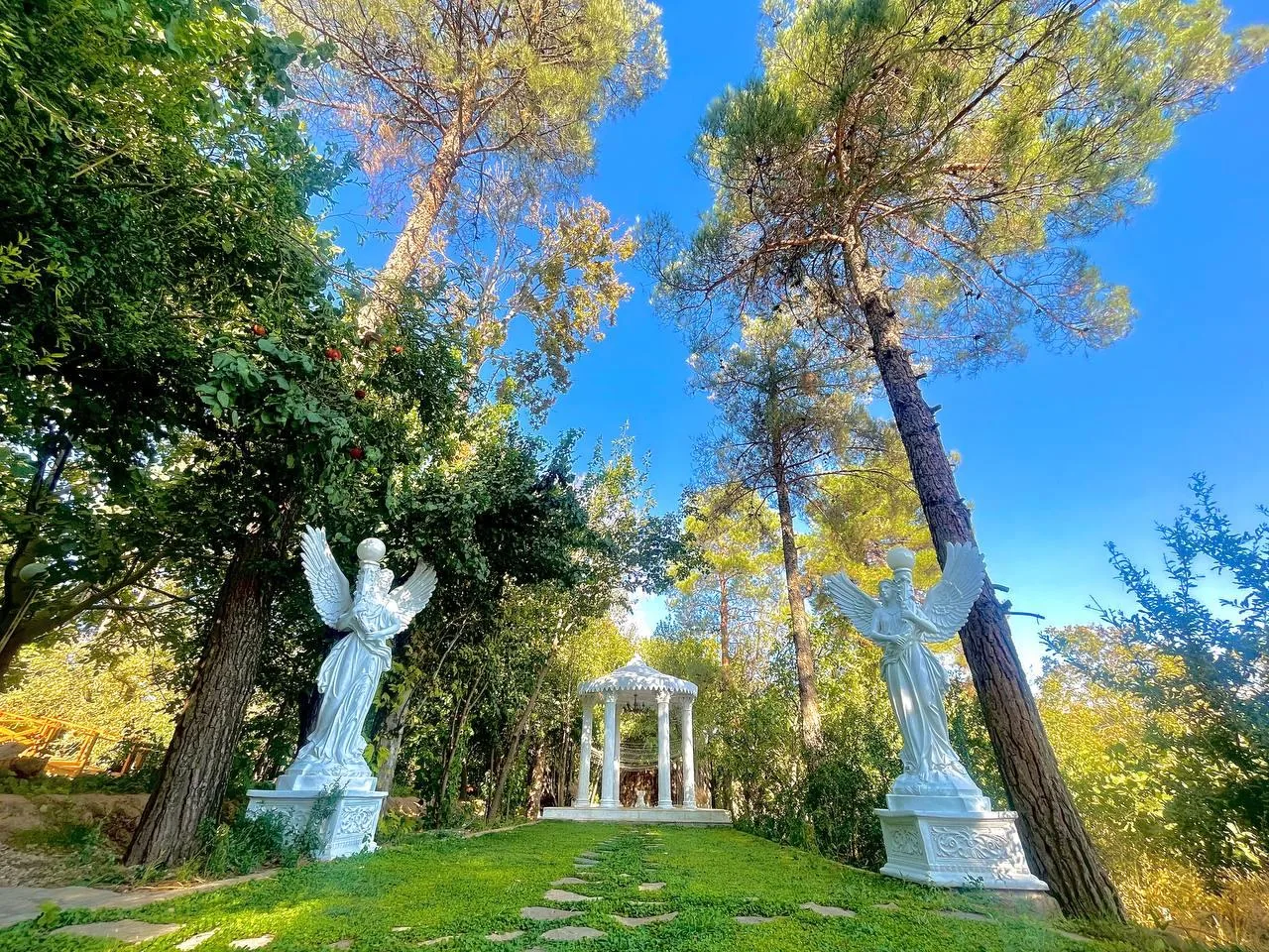 تشریفات مجالس مرادی - تصویر 3