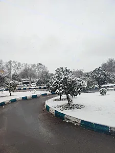 پارکینگ باغ گلها