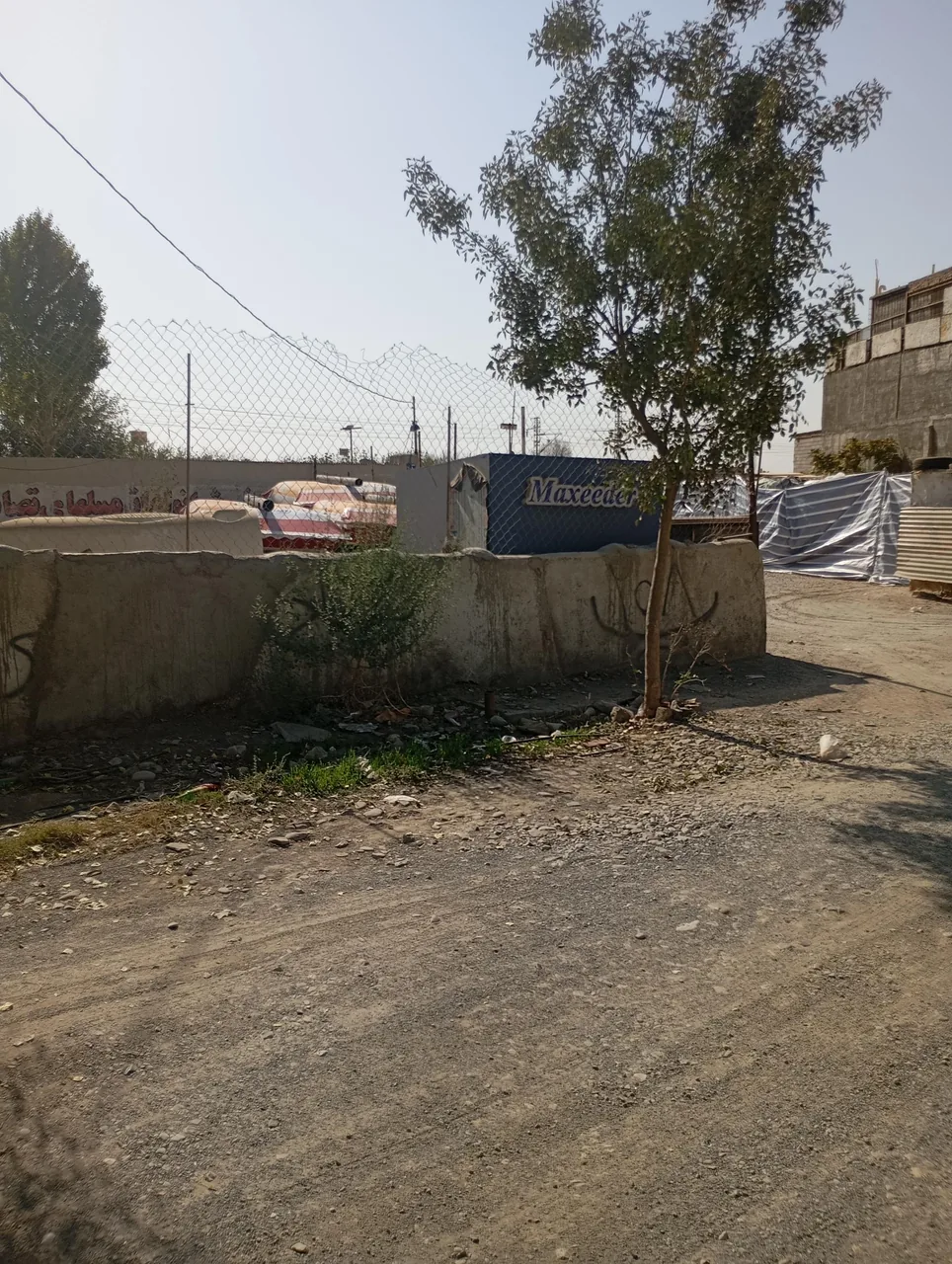 تصادفی جعفری - تصویر 2