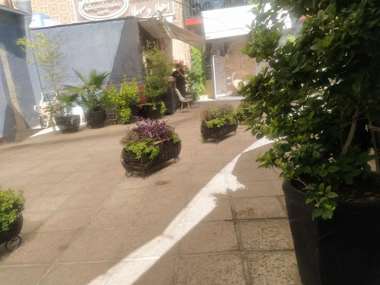 رستوران شاندیز - تصویر 2
