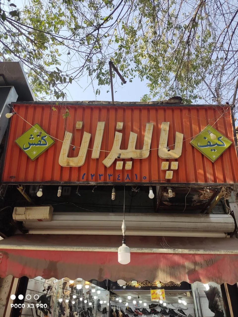 کفش پالیزان