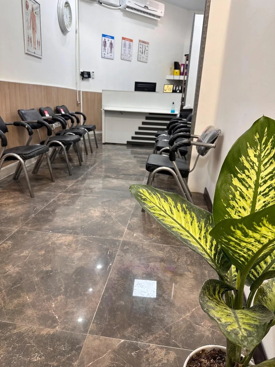 فیزیوتراپی کیمیا سلامت