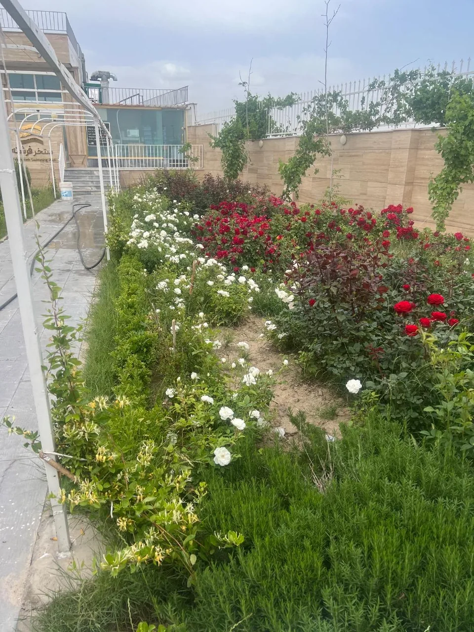 استخر روباز چهارفصل فرشته - تصویر 2
