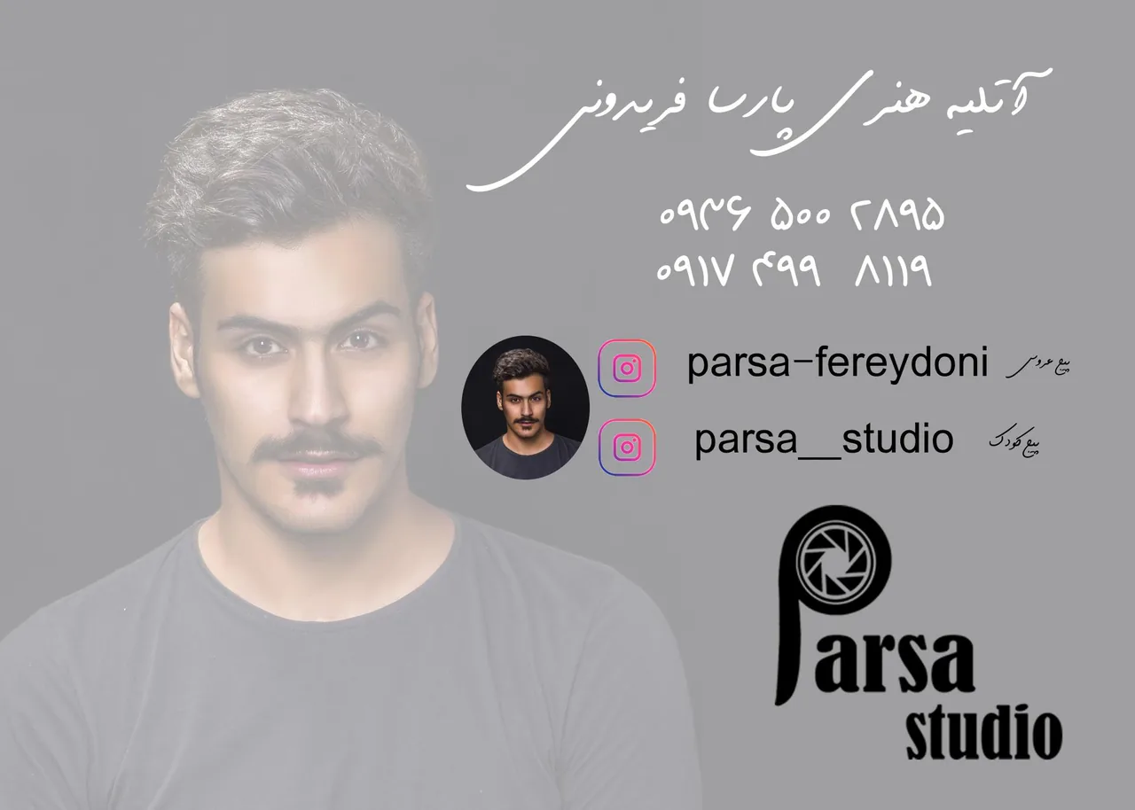 آتلیه هنری پارسا فریدونی