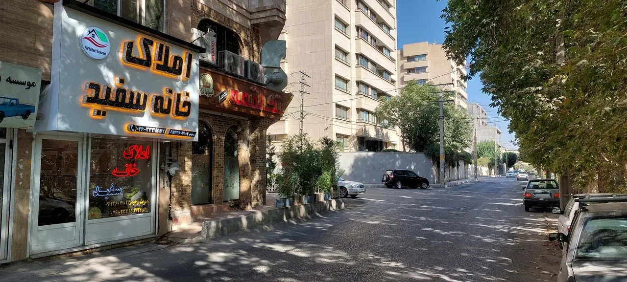 املاک خانه سفید - تصویر 2