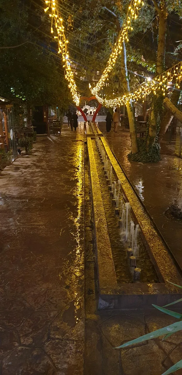 رستوران شب نشین - تصویر 4