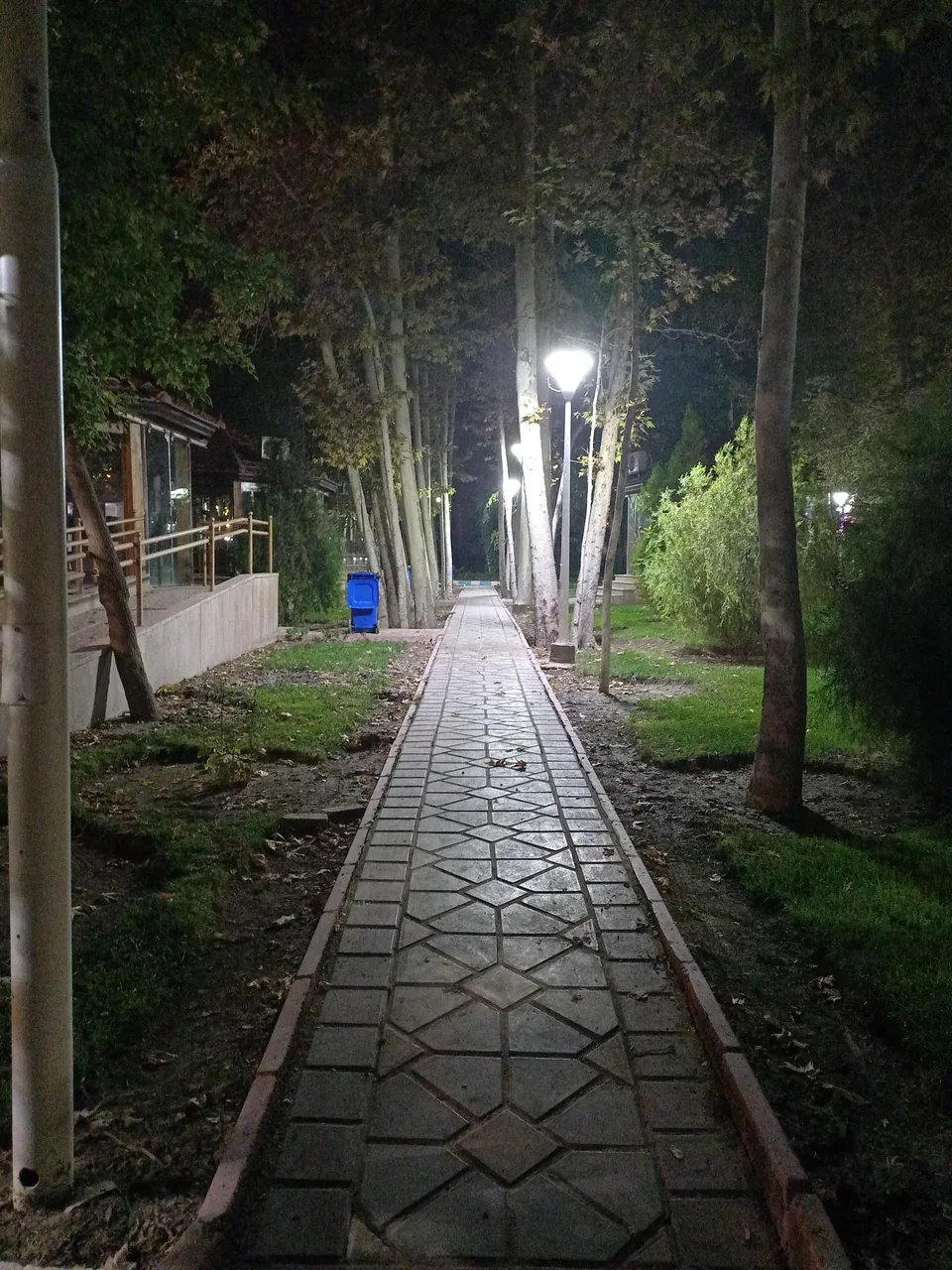 باشگاه شماره 1 رستوران شهرداری (مخصوص کارمندان شهرداری) - تصویر 5