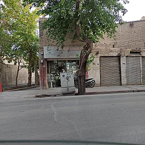 قلمزنی مارلیک طاهری