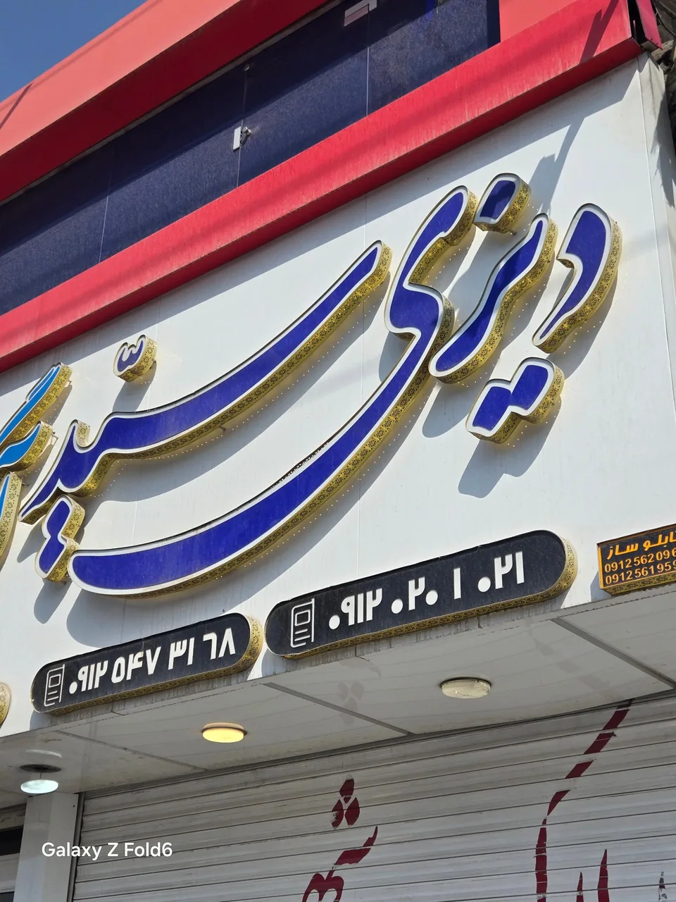 دیزی سید - تصویر 2